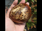 pierres que je trouve magnifique 1541586540-480g-belle-naturel-poli-rouge-agate-pierre-chantillon-de-quartz-crystal-healing-aquatiques-plantes-madagascar-d-jpg-640x640