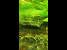 aquarium juwel rio 180 méthode en dry start méthod - Page 2 1570187708-img-20191004-130802