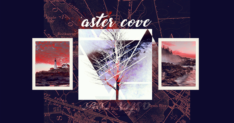 Aster Cove