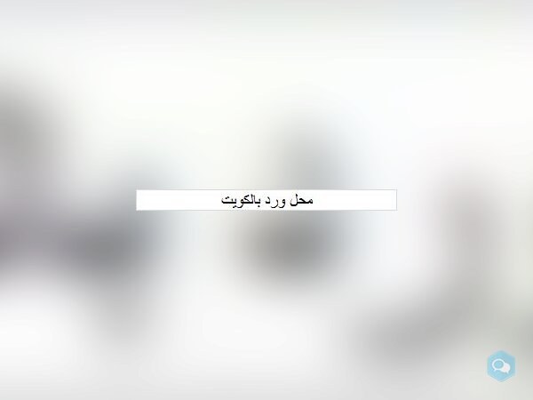 محل ورد بالكويت - img