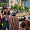 Fête de la tranhumance Castellane le 10 juin