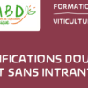 Formation Vinification Douce et sans Intrant - 2