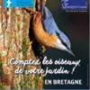 Opération « comptage des oiseaux des jardins »