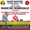 Marche contre Monsanto& Co - St Nazaire