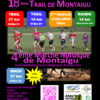 Trail de Montaigu (10)