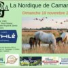 La Nordique de Camargue (30)