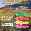 La Ronde des Vignes (13)