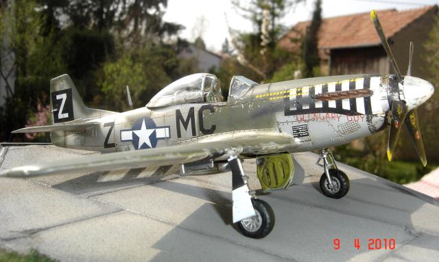 P-51D 118749Avril_2010_148