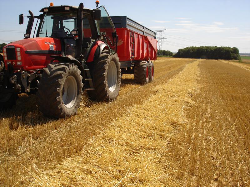 harvest in "baie de somme "  159070DSC01898