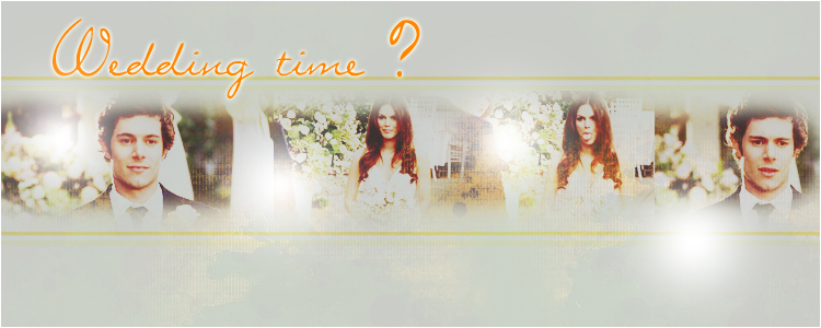 Encore des trucs Muches 162198header_1