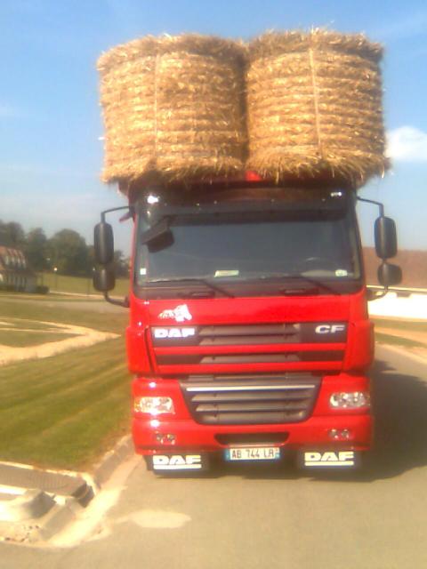 DAF 85 163533Photo055