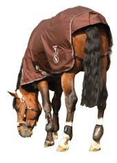 ♪ Equine Saddlery 167035box_rainment_combo