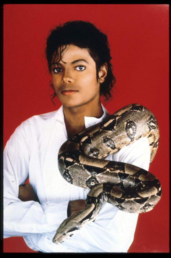 Photos de Michael Jackson avec des animaux (et vidéo de son singe Bubbles) 168661r390446_1824992