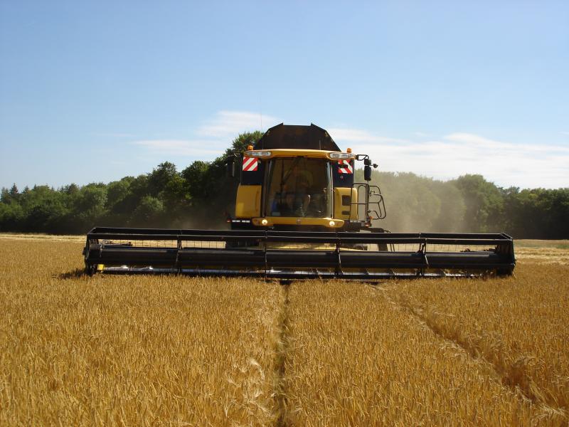 harvest in "baie de somme "  169851DSC01902