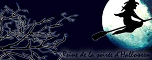 MESSAGE D'INFORMATION N°11 : FEVRIER 2011 195937ReineHalloween