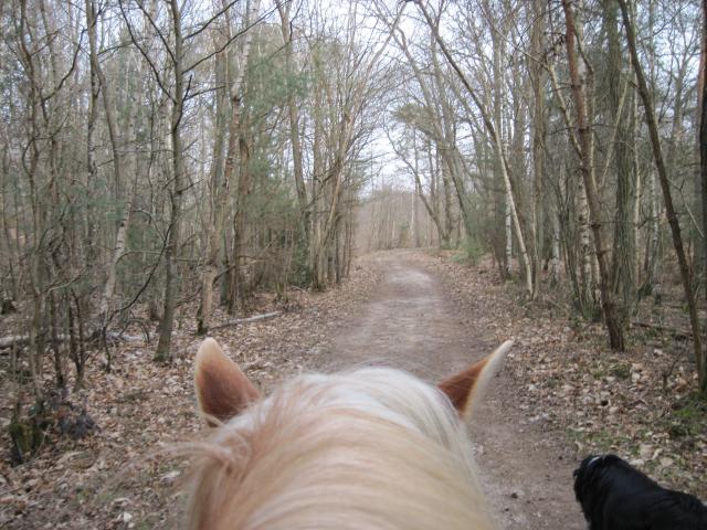 balade des arcades - Milly la Forêt 225300IMG_0455_1_