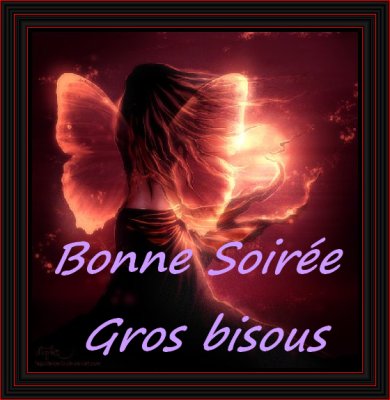 Bonjour... bonsoir... bonne nuit... - Page 35 227720bonne_soiree