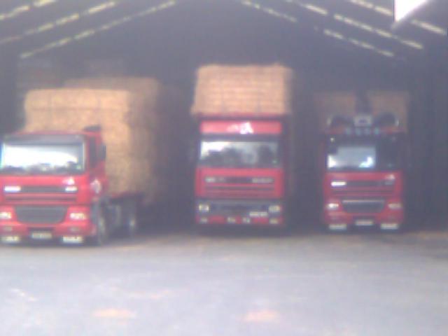 DAF 85 230529Photo019