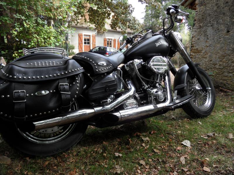 Vends Softail 1450 carbu "Jack Daniel's" ou Héritage.... 264612SAM_0811