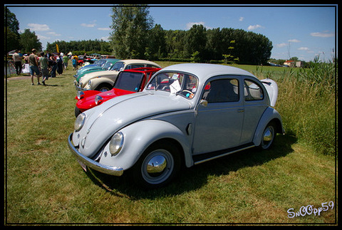 Meeting cox à Haverskerque  322898IMGP3331_border