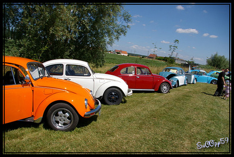 Meeting cox à Haverskerque  326672IMGP3309_border