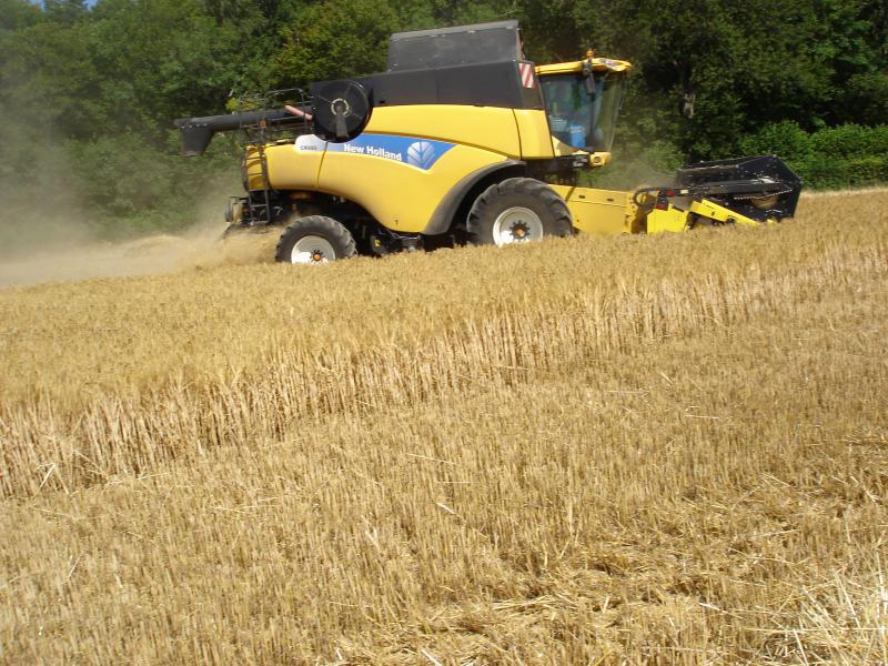 harvest in "baie de somme "  328630DSC01901