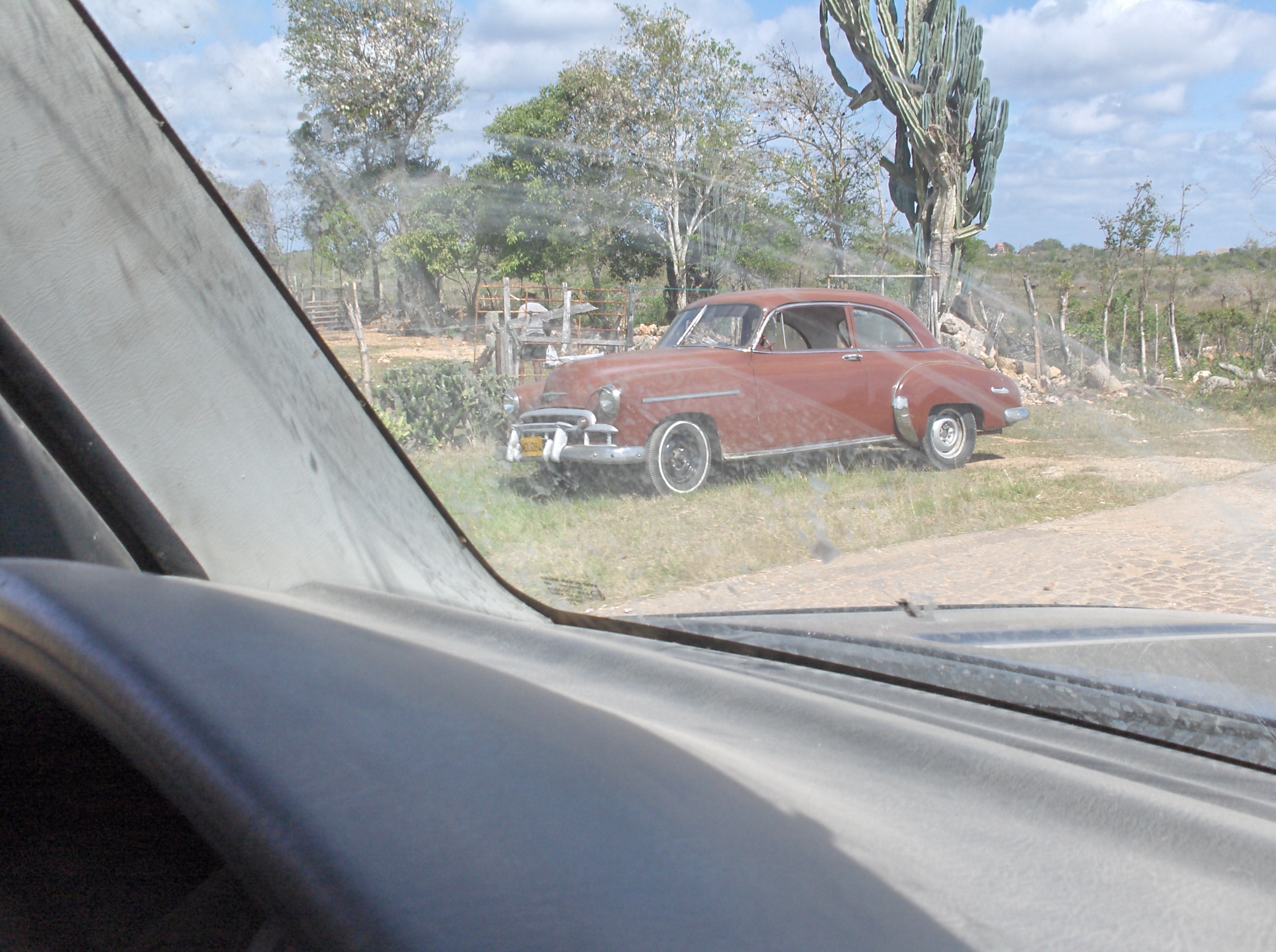 200 photos : Cars of Cuba - Carros de Cuba - Page 2 361209Photo_croisiere_et_moule_2008_197