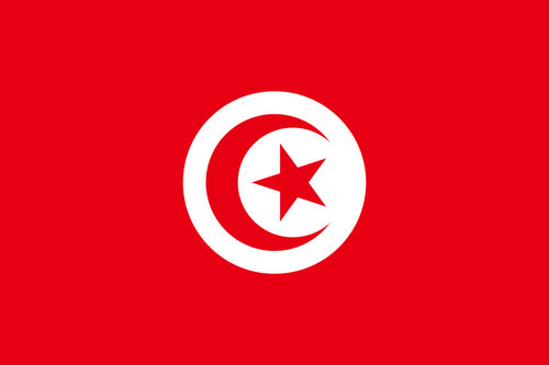 Armée Tunisienne. 364022tunisie