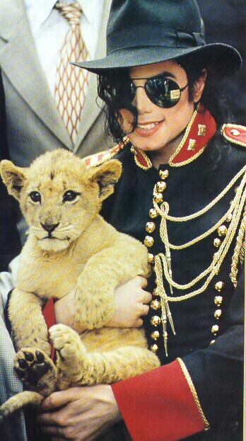 Photos de Michael Jackson avec des animaux (et vidéo de son singe Bubbles) 387511mjanimal_1