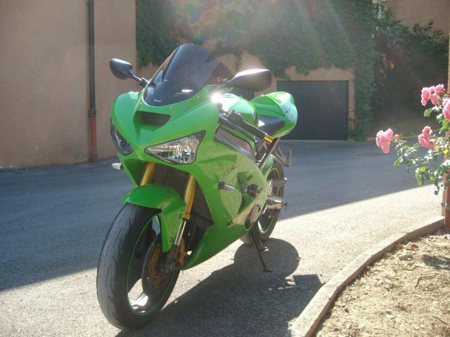 ma nouvelle grenouille K4 425510KAWASAKI_636_009