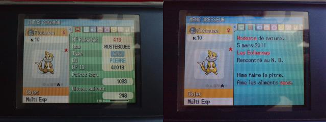 Mes petits shiny ^^ 450319uyuy