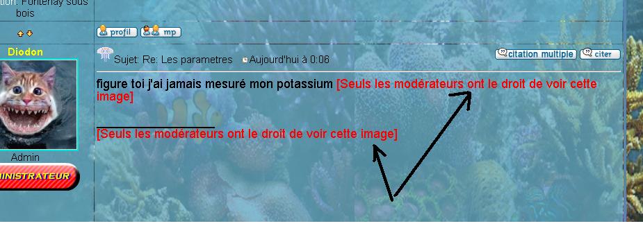 Problème avec images qui ne peut etre vu par les membres 467210probleme_affichage