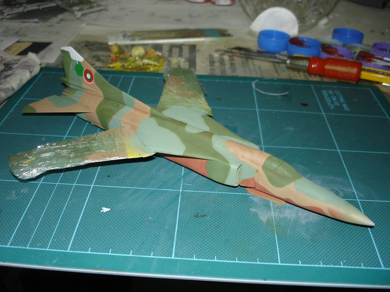 [Hasegawa] MiG23 MF "Flogger-B" 1/72 - Page 7 468704DSC06296