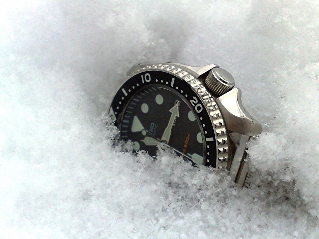 Votre montre du jour - Page 29 496094seiko_neige2