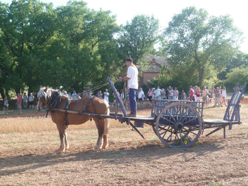 12 ème fête de la Terre à St-SATURNIN LES APT 497935Cariole_5