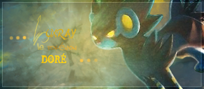 * Comment for Pyphi * 527758sign___Luxray