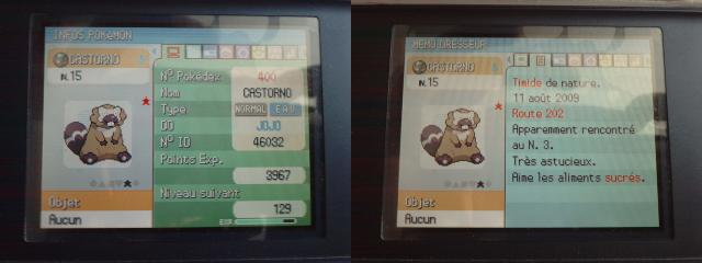 Mes petits shiny ^^ 5312694001