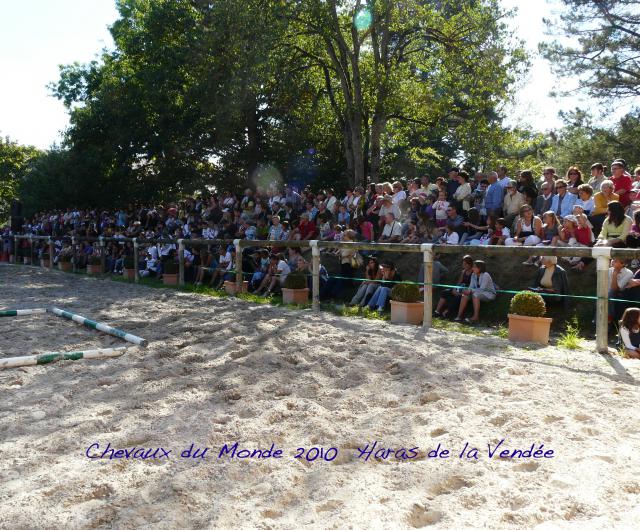 chevaux du monde au haras de la Roche sur yon [85] le 19/09/10 583960C_d_M_2