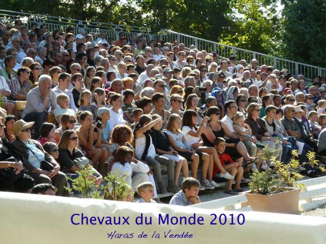 chevaux du monde au haras de la Roche sur yon [85] le 19/09/10 602127Cd_M_1