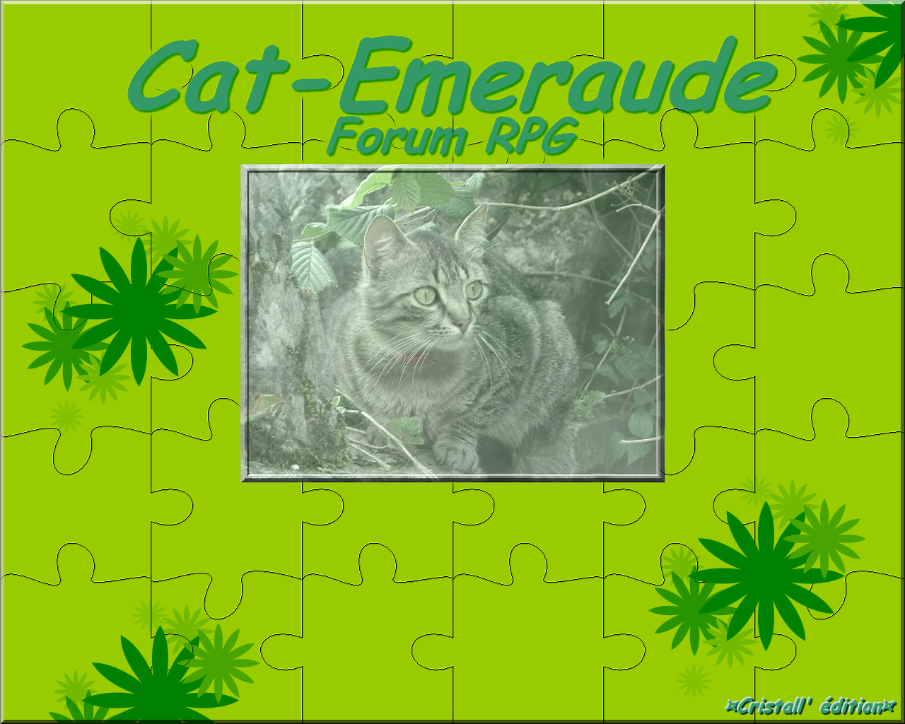 Un nouveau fond d'écran pour Cat-Emeraude! 621875fond_d__ecran_cat_emeraude