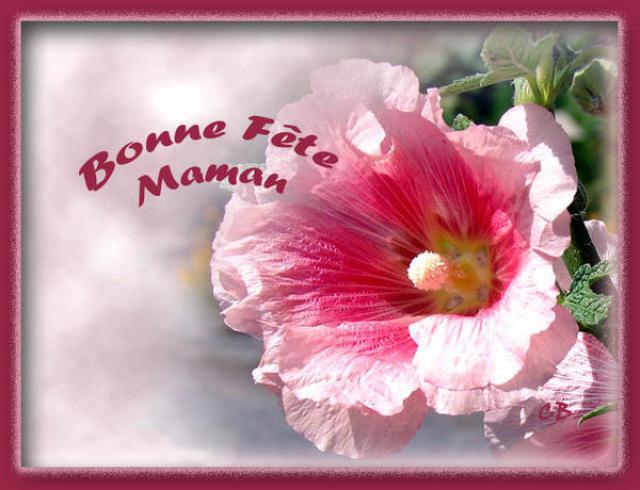 une bonne fete des meres a toutes les maman 631221Bonne_fete_Maman