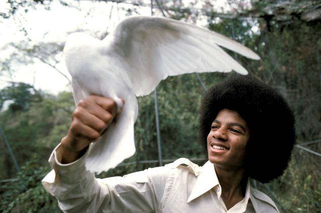 Photos de Michael Jackson avec des animaux (et vidéo de son singe Bubbles) 69142085001772