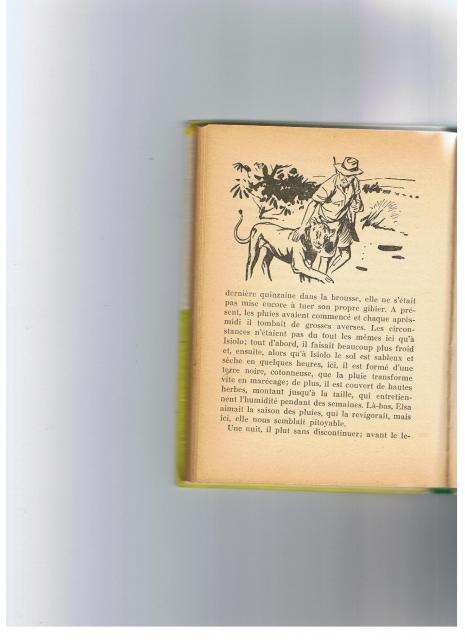 illustrations de Jean Reschofsky pour le livre elsa la lionne. 691633004