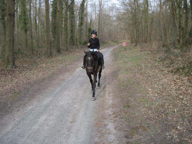 balade des arcades - Milly la Forêt 701225IMG_0470_1_