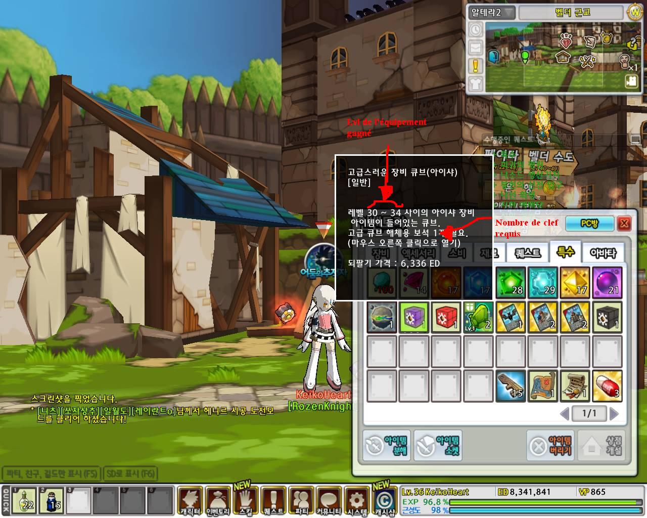 Les bases de Elsword 703285boite_1