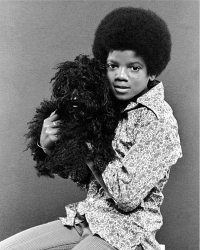 Photos de Michael Jackson avec des animaux (et vidéo de son singe Bubbles) 728984Michael_Jackson_0001