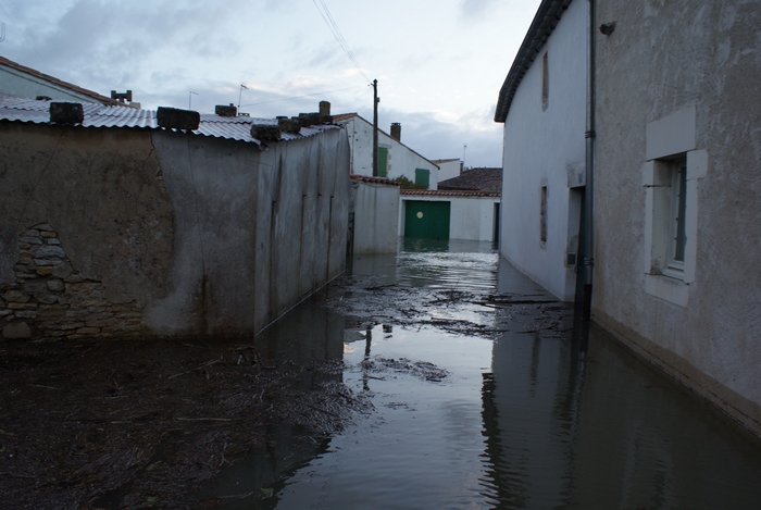 inondation ile de r 2 quelques photos de l aprs tempete + ajouts 753990DSC07430