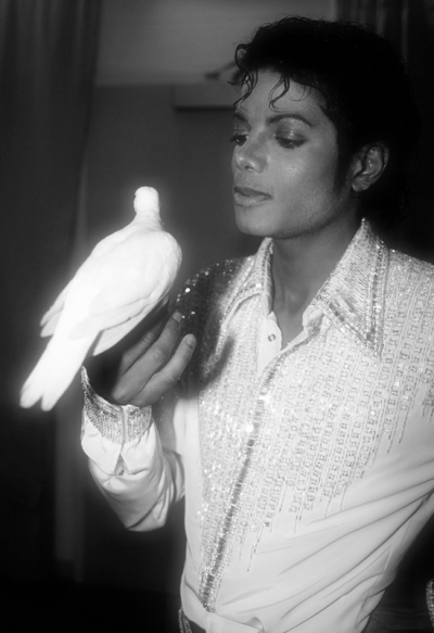 Photos de Michael Jackson avec des animaux (et vidéo de son singe Bubbles) 782541restinpeacedove