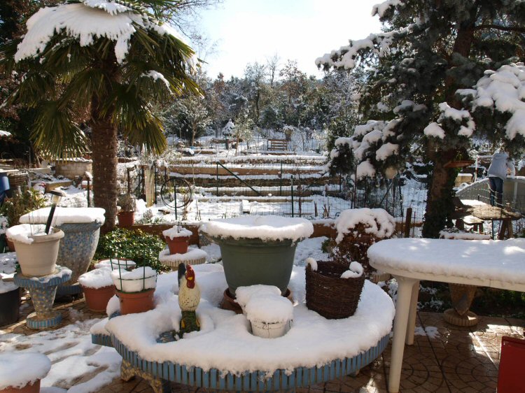 Mon jardin sous la neige ce 21 janvier 2011 7851453