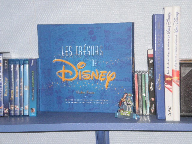 Postez les photos de votre collection de DVD et BrD Disney ! - Page 17 786335collectiondvdbrdp4